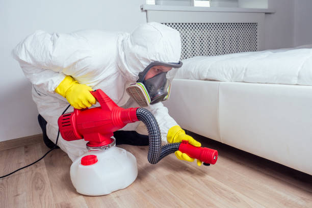 Best Residential Pest Control  in Vista Santa Rosa, CA